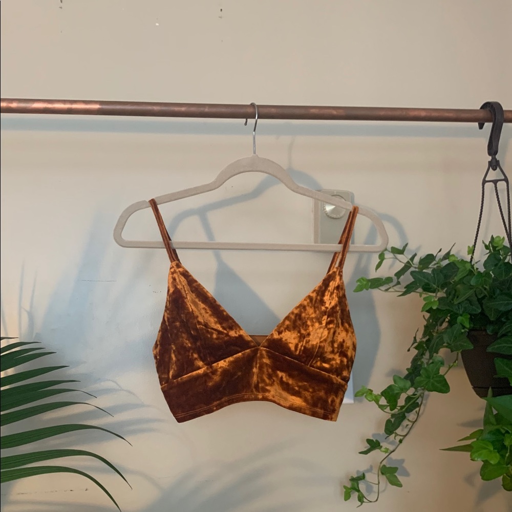 Velvet Crop Top